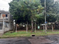 Imóvel - Foto 1