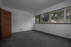 Imóvel - Foto 1