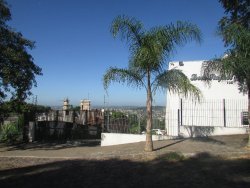 Imóvel - Foto 1