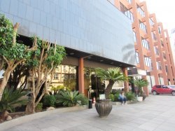 Imóvel - Foto 1