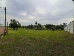 Imóvel - Foto 1