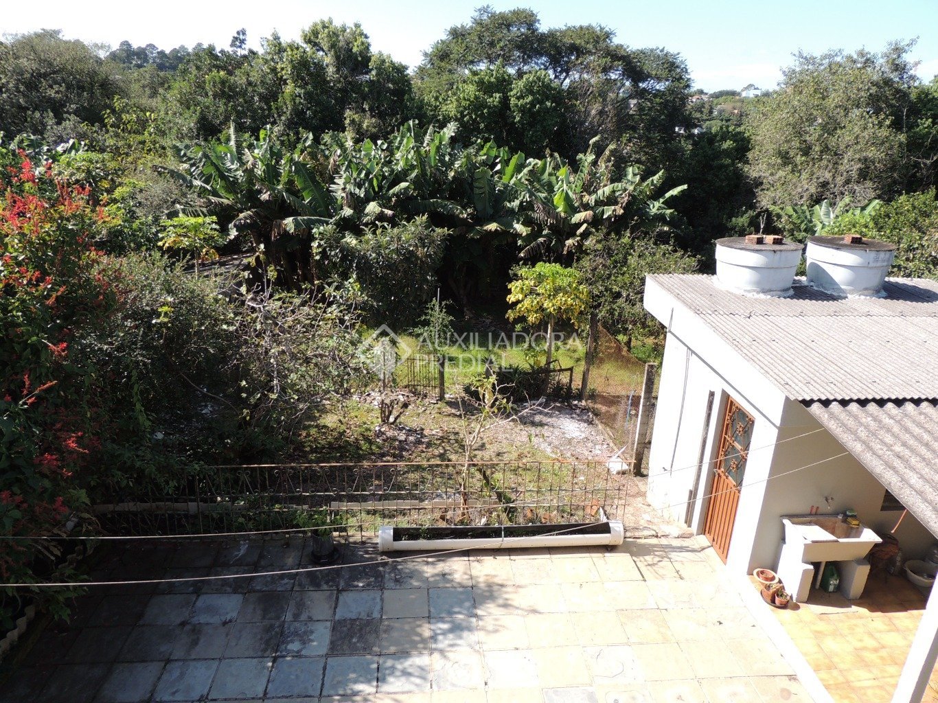 Foto 4