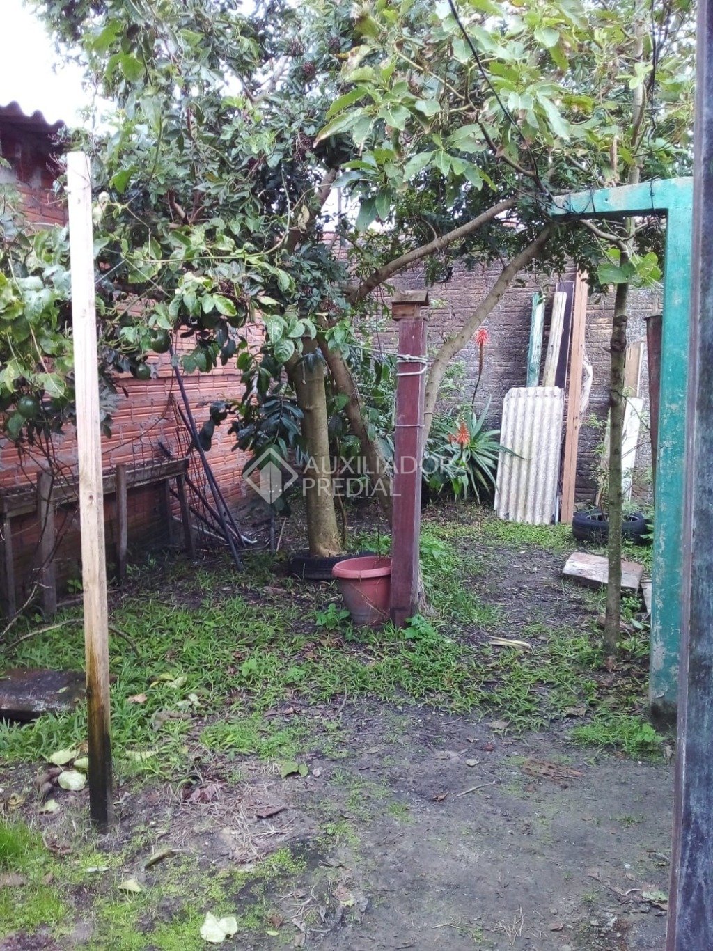 Foto 10