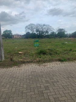 Imóvel - Foto 1