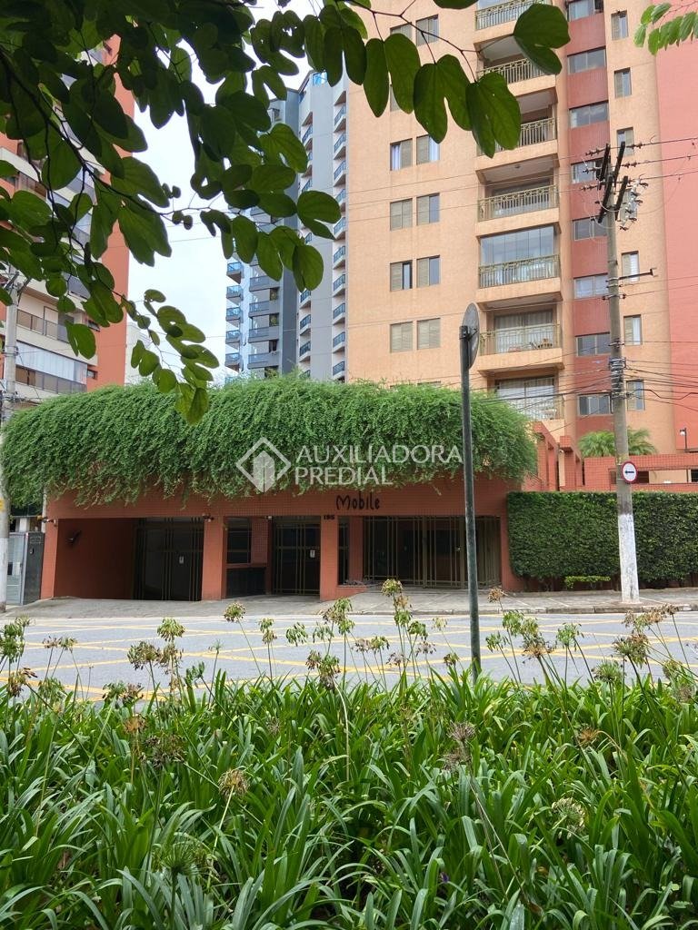 Foto 21