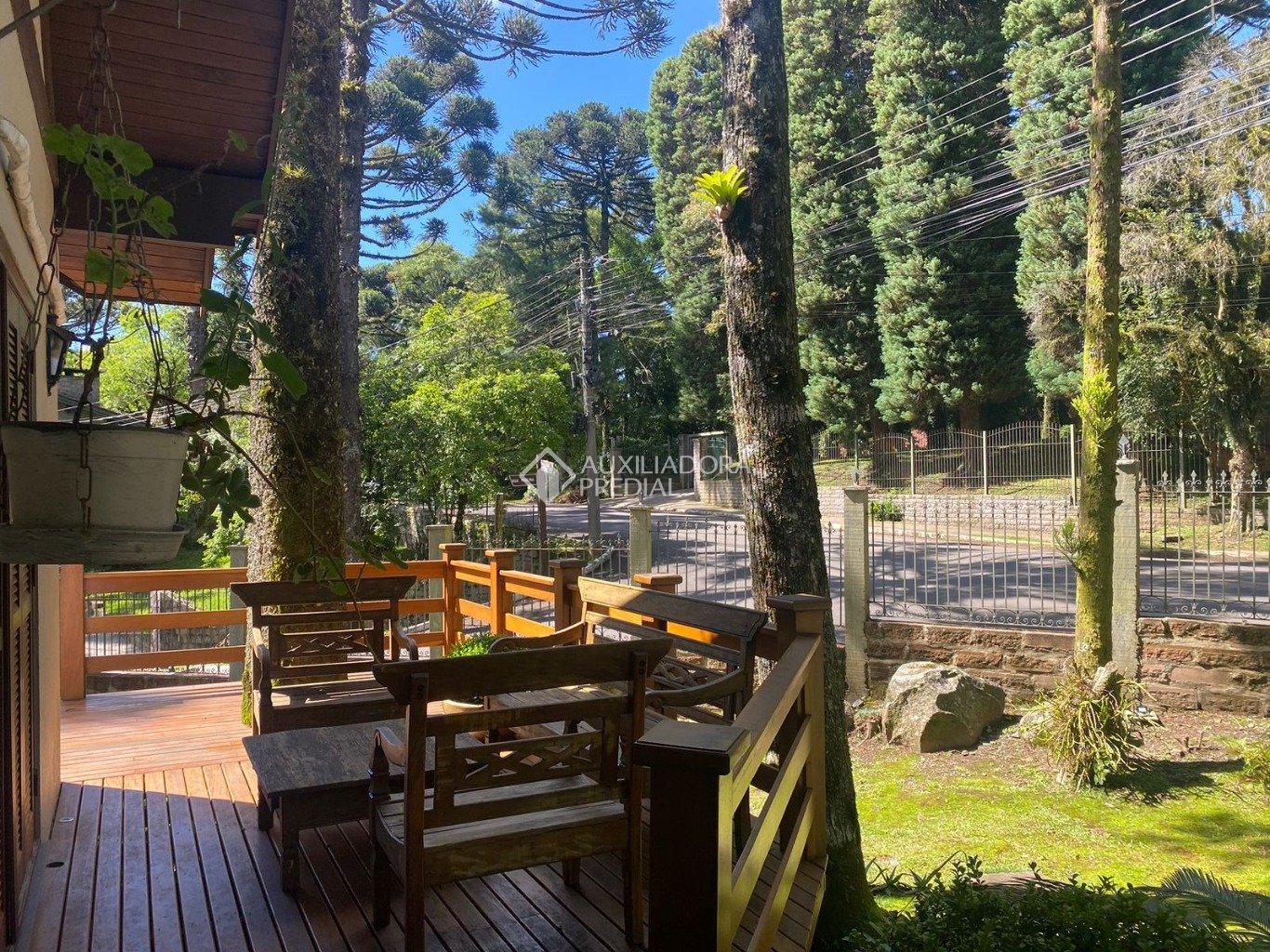 Foto 3