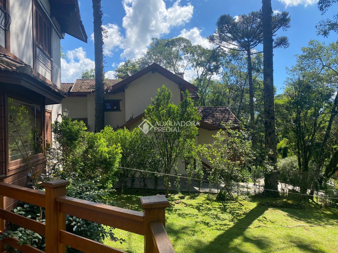 Foto 48
