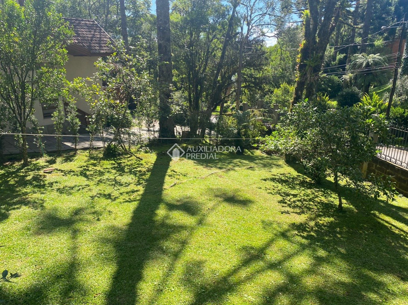 Foto 49
