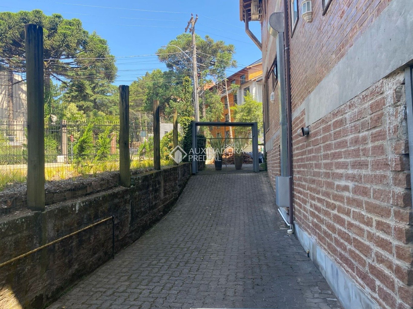 Foto 11
