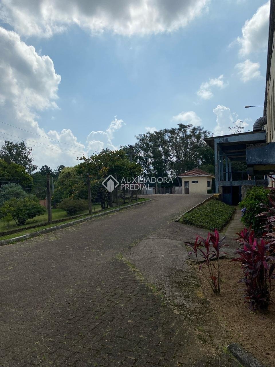 Foto 11