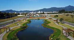 Imóvel - Foto 1