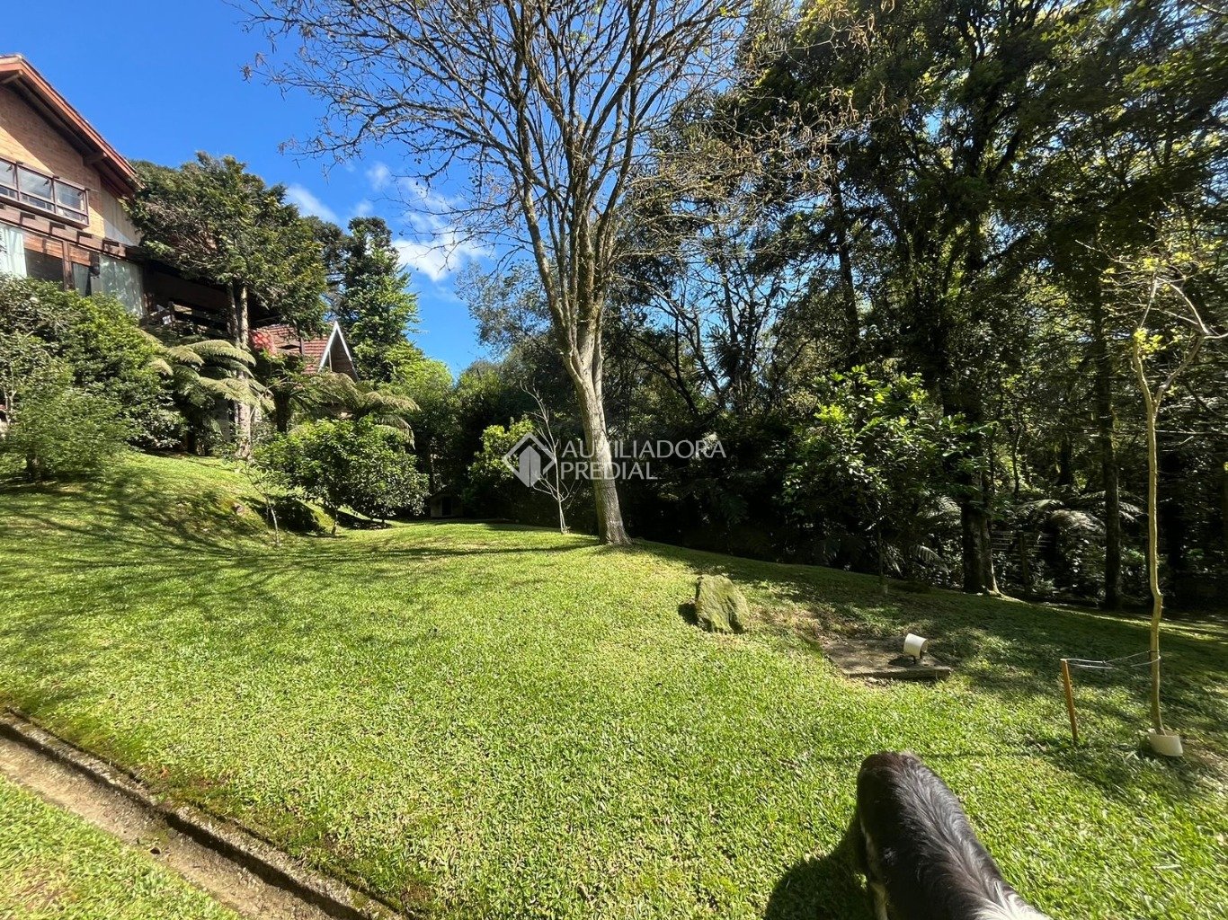 Foto 58