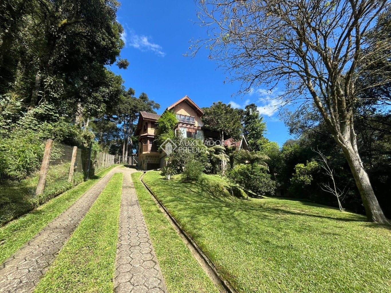 Foto 59