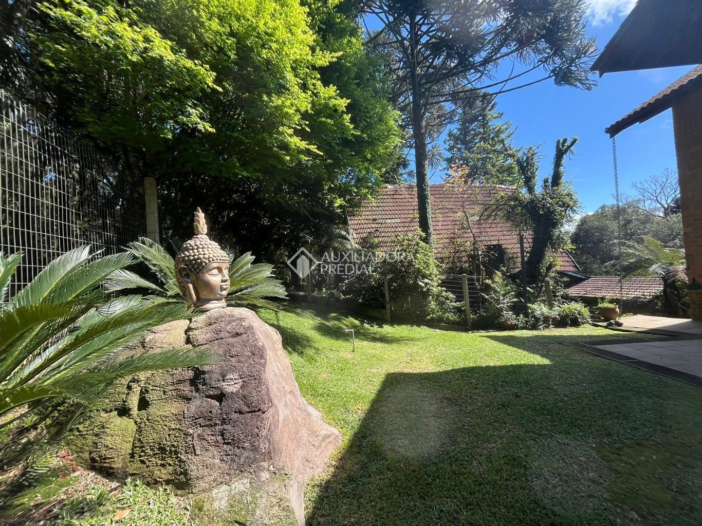 Foto 60