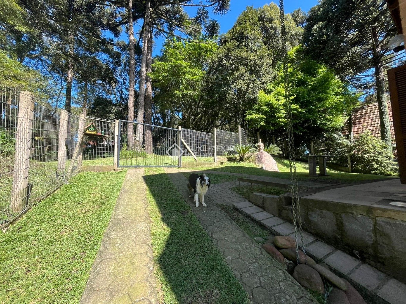 Foto 61