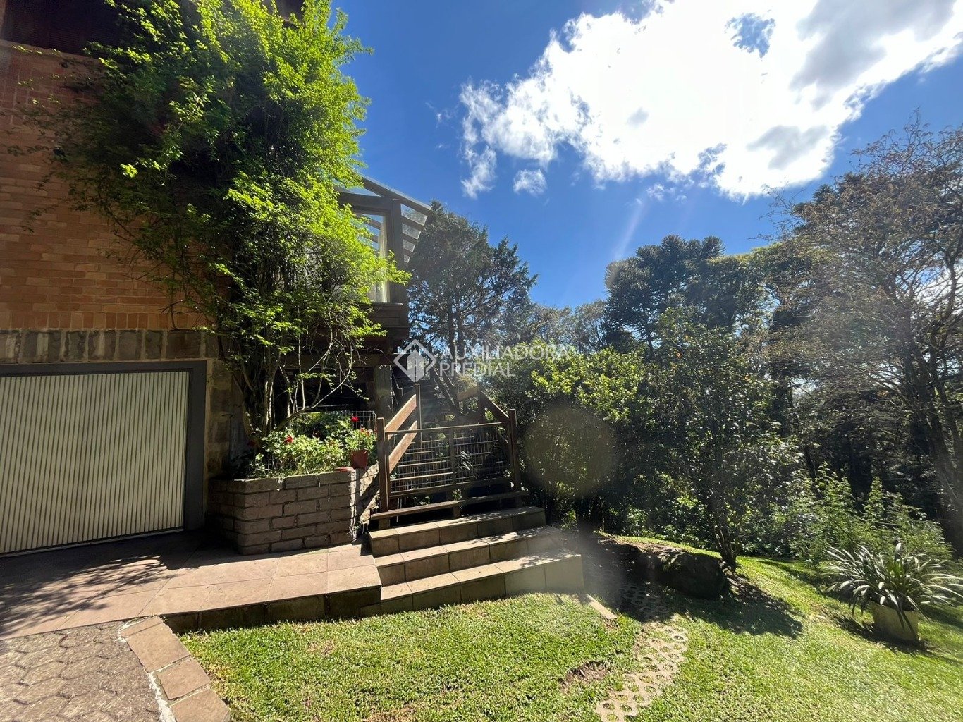 Foto 62