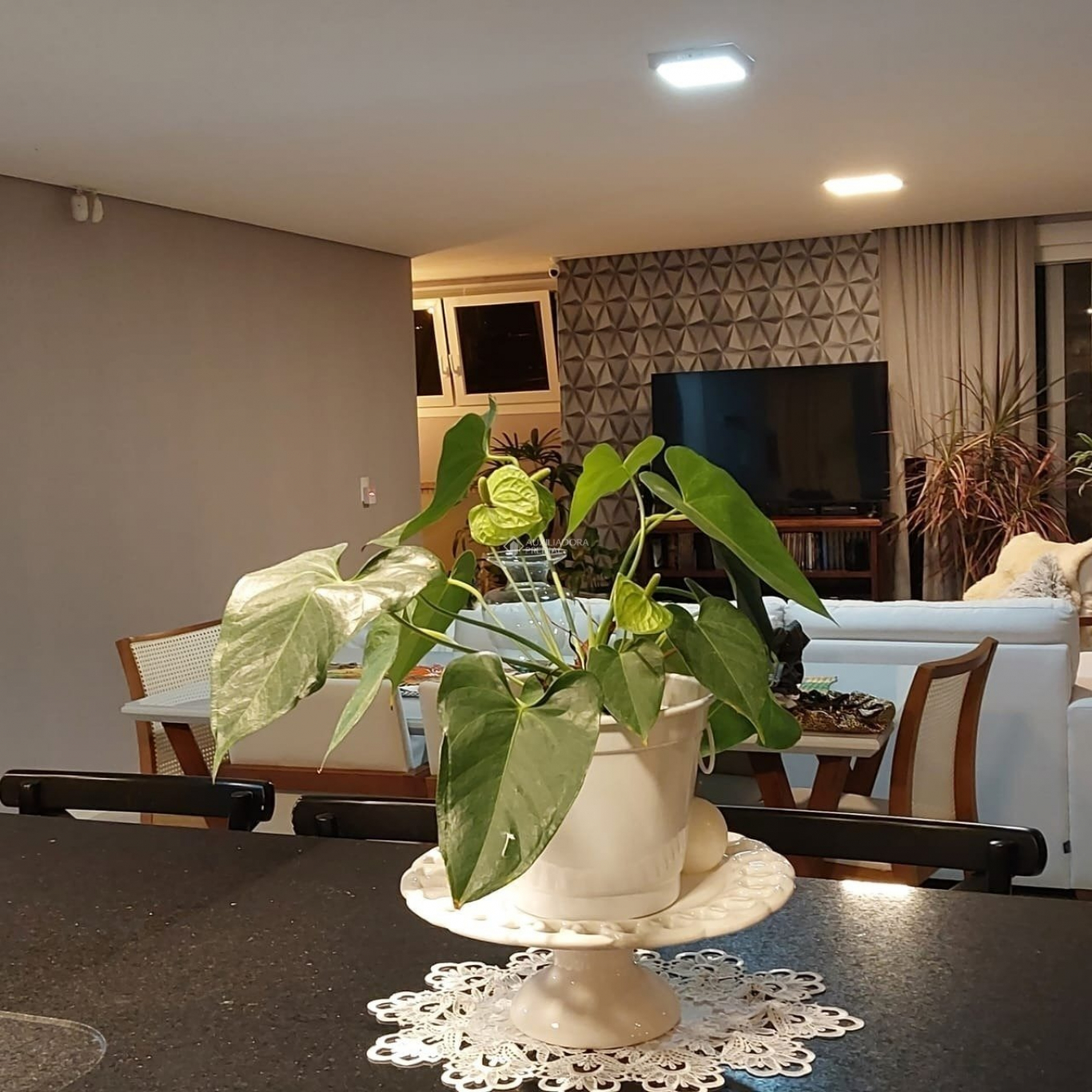 Foto 19