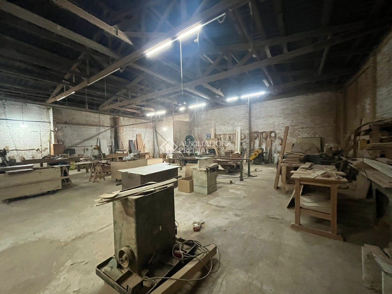 Foto 15