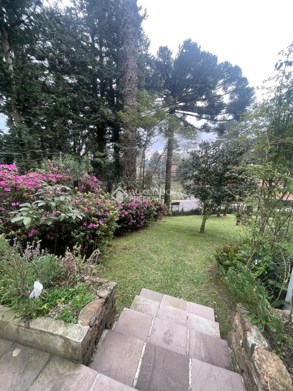 Foto 55