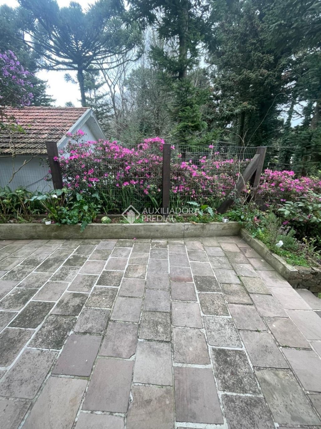 Foto 57