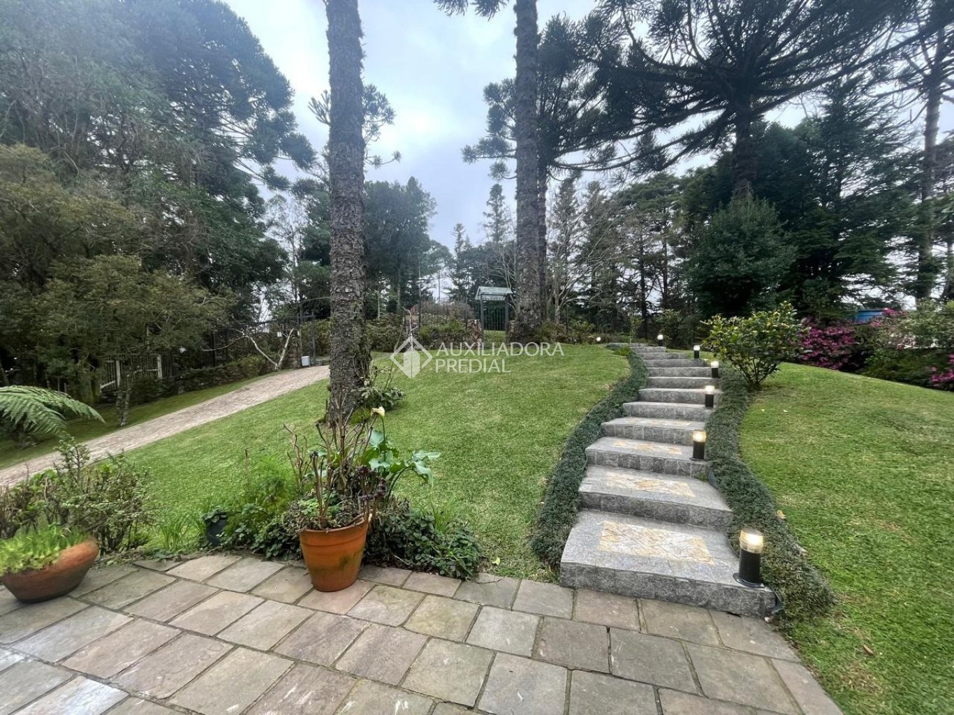Foto 58