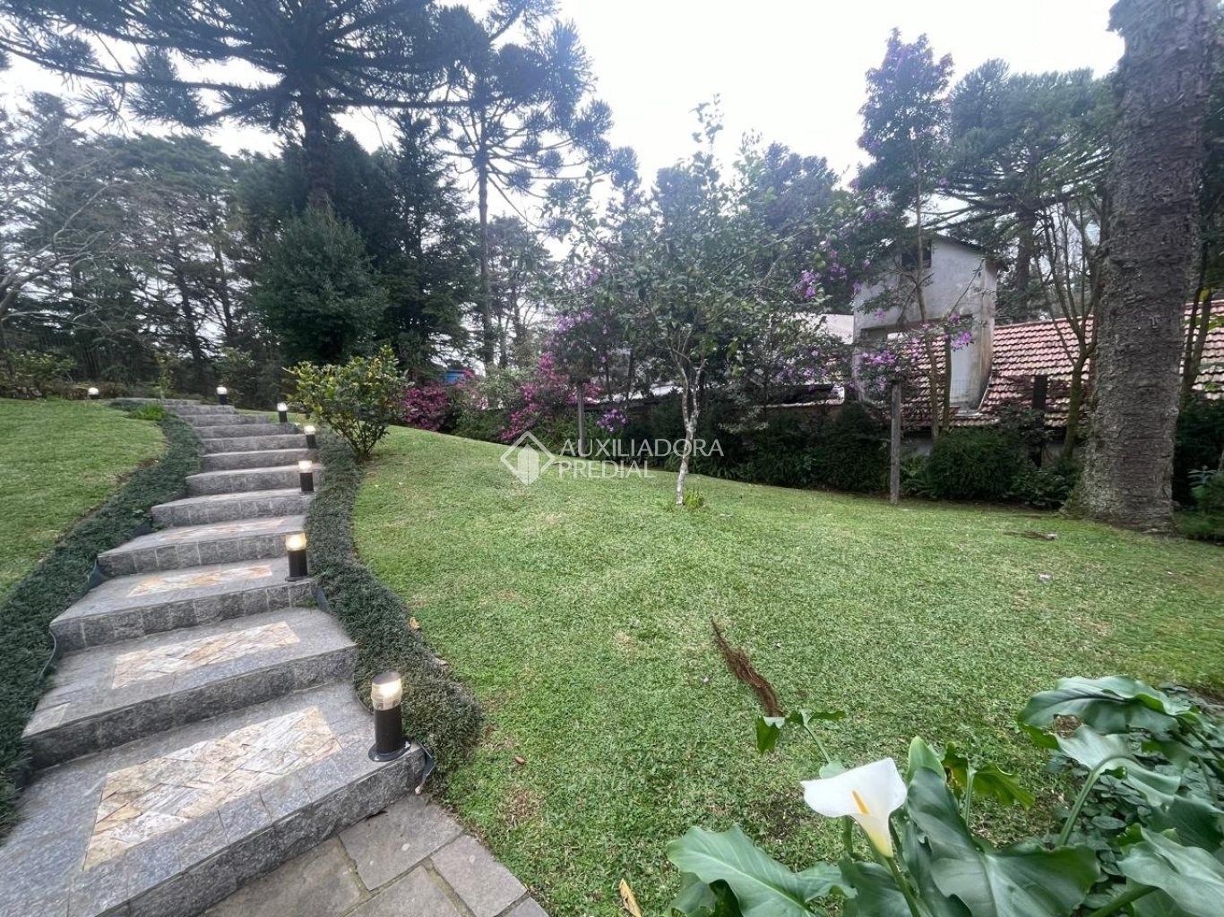 Foto 59