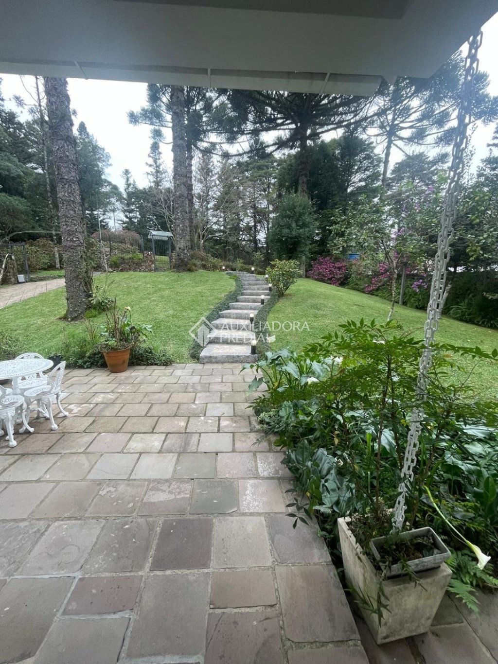 Foto 60