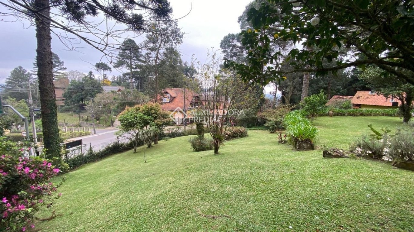 Foto 62
