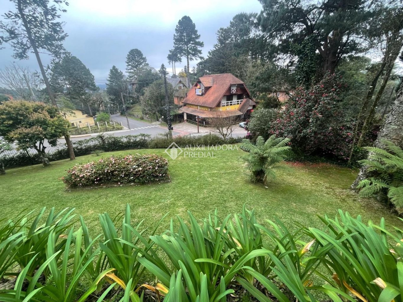 Foto 64