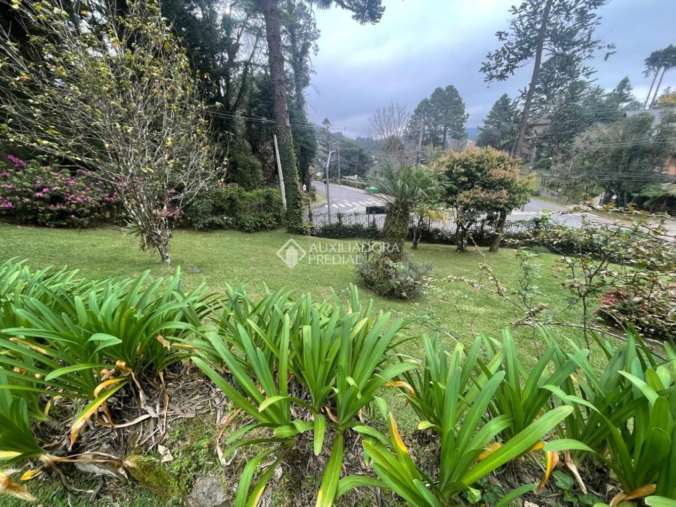 Foto 66