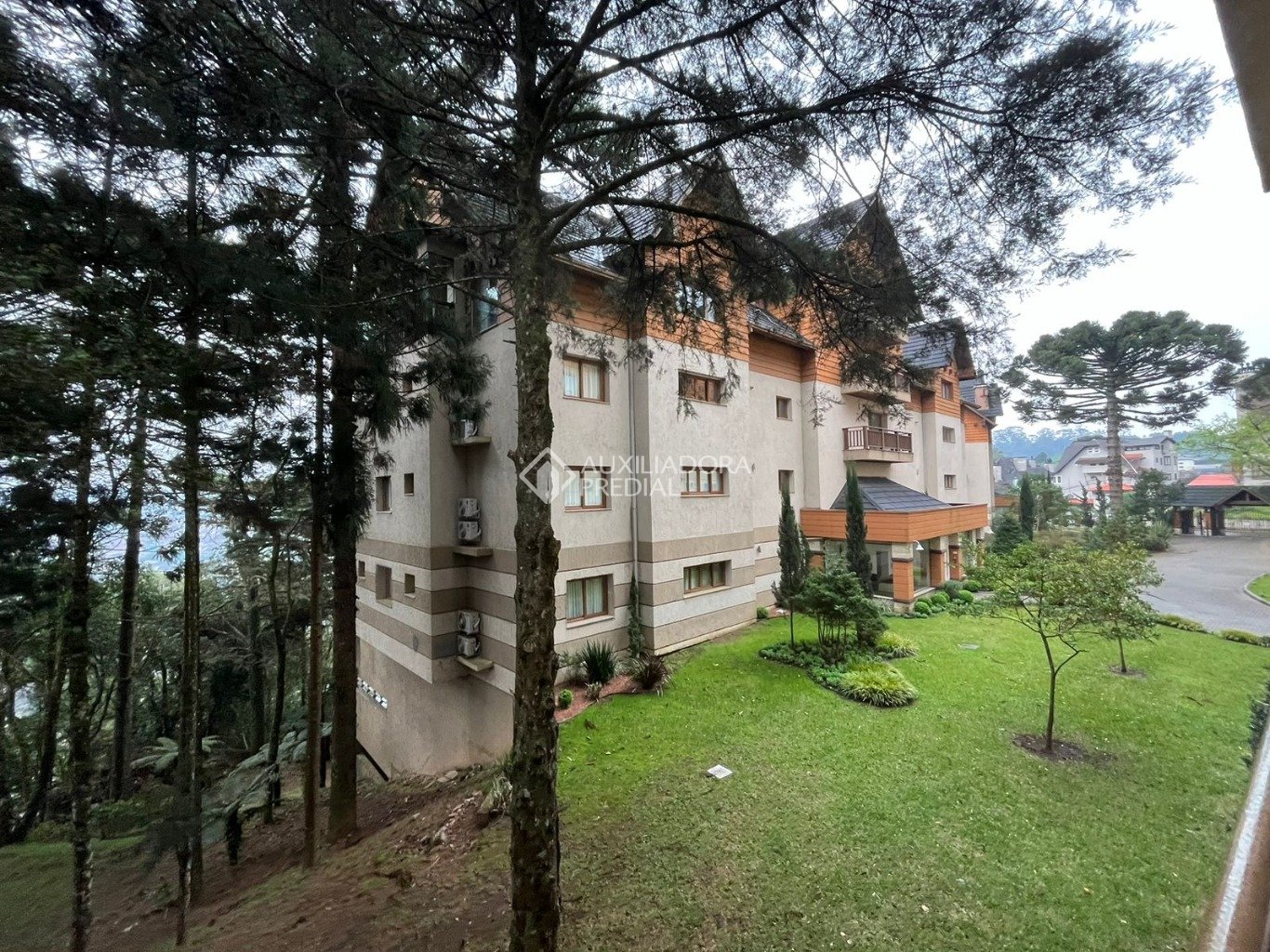 Foto 50