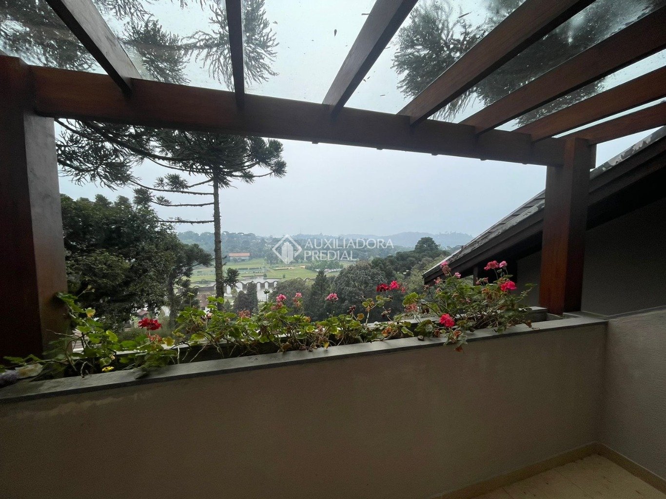 Foto 20