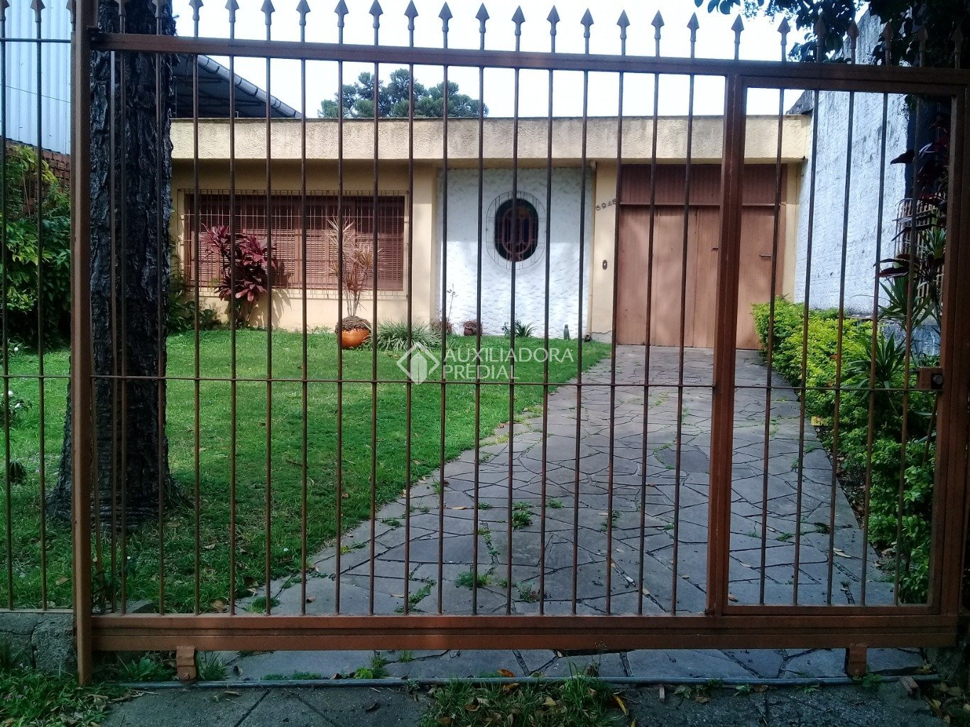 Foto 4