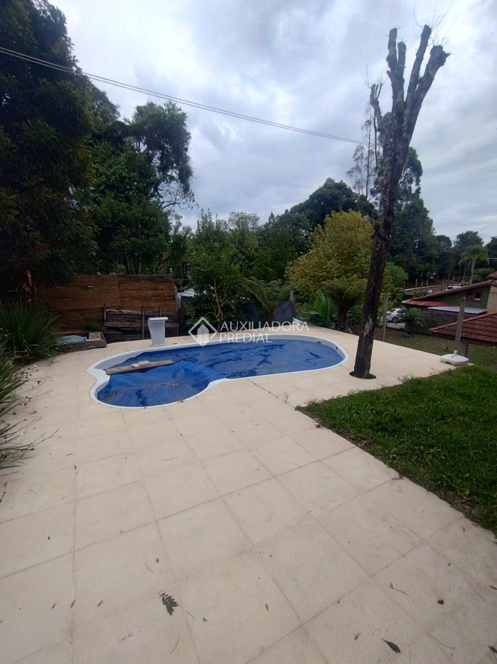 Foto 31