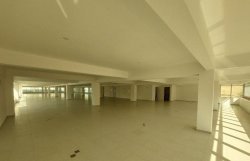 Imóvel - Foto 1