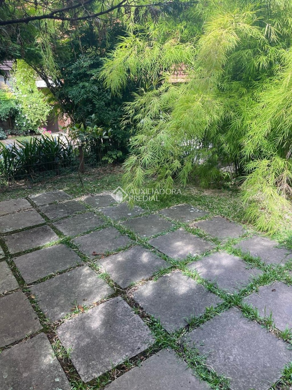 Foto 14