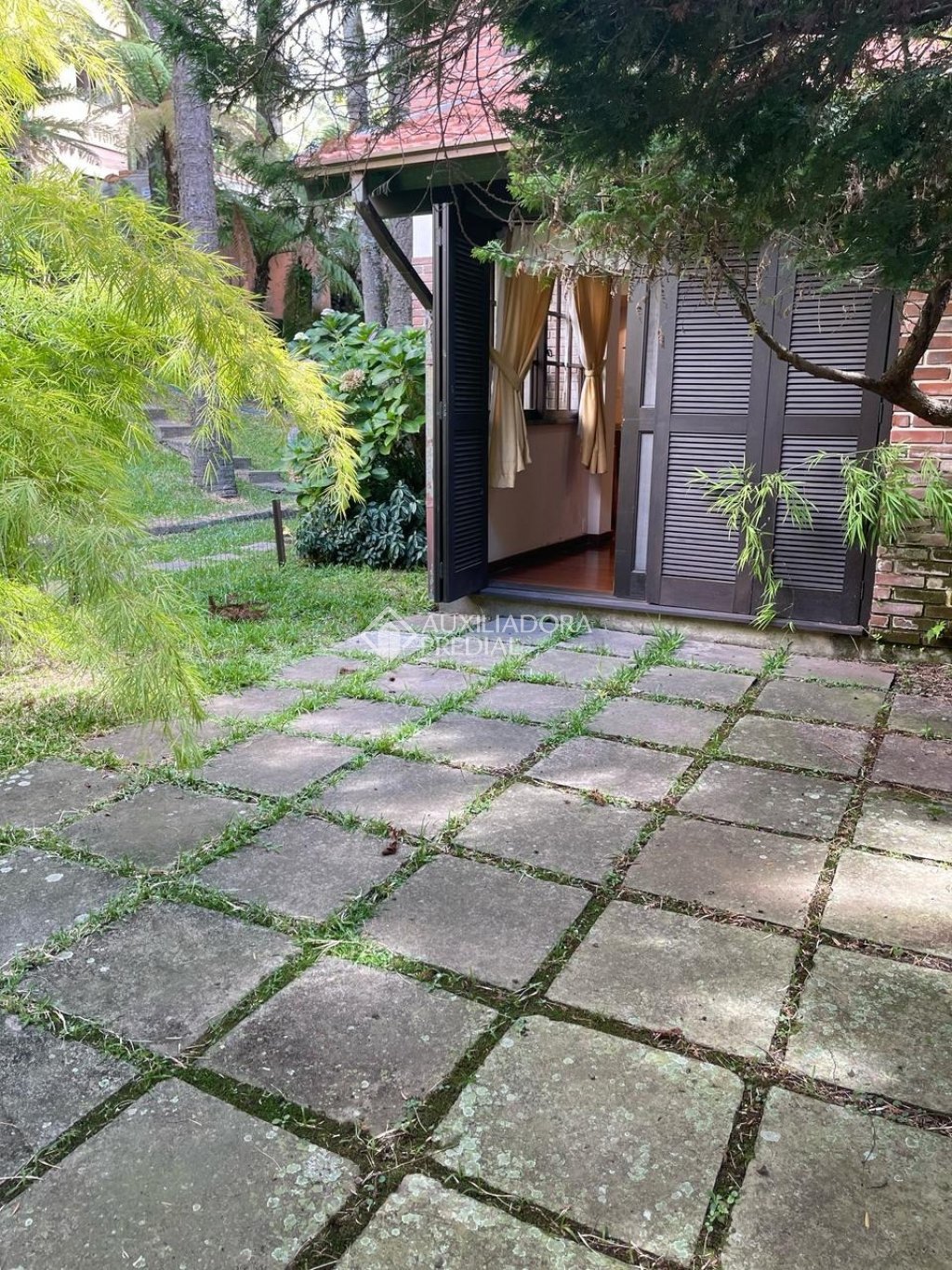 Foto 12
