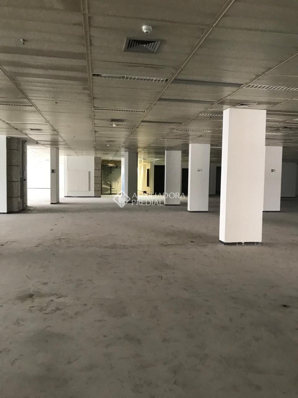 Foto 43