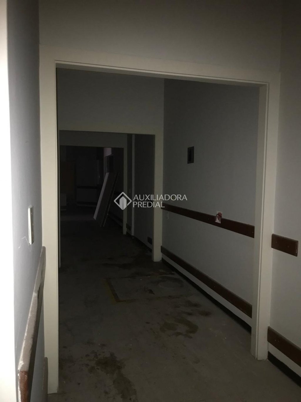 Foto 50