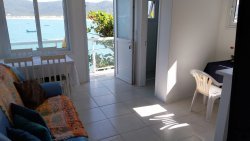Imóvel - Foto 1