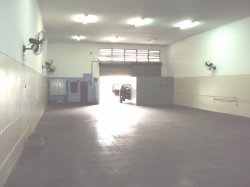 Imóvel - Foto 1