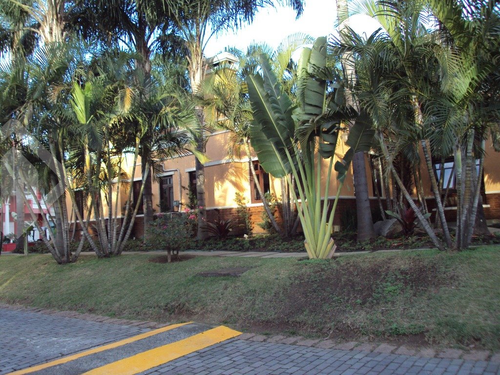 Foto 42