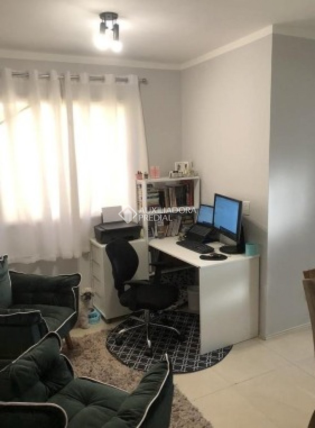 Foto 5