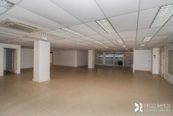 Imóvel - Foto 1