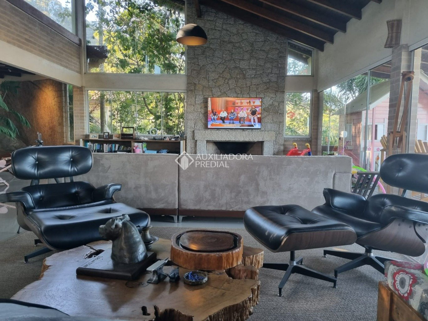 Foto 5