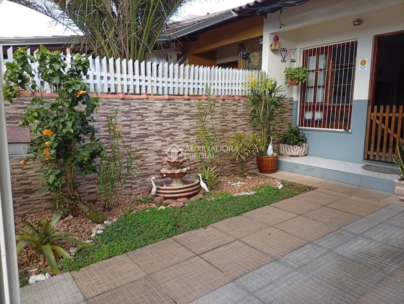 Foto 4
