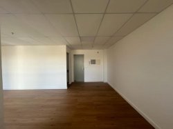 Imóvel - Foto 1