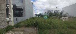 Imóvel - Foto 1