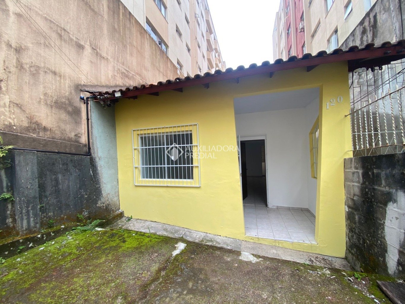 Foto 2