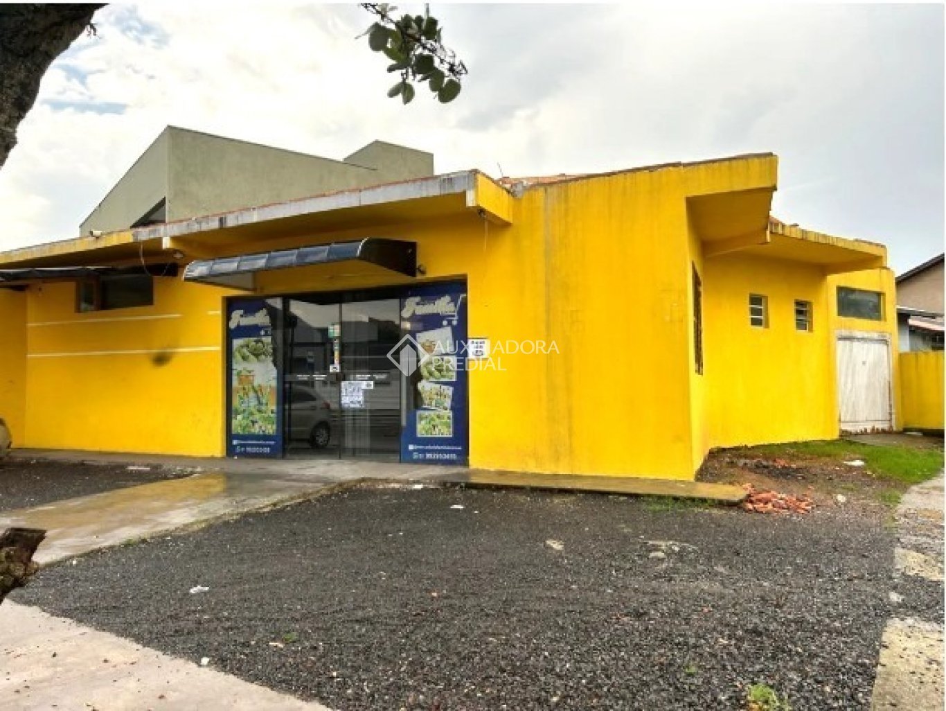 Foto 1